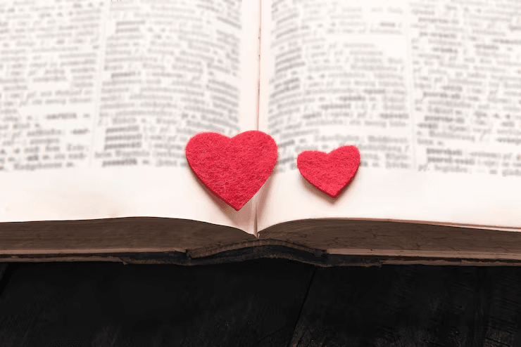 How to End a Love Story: Novel Guide image 29