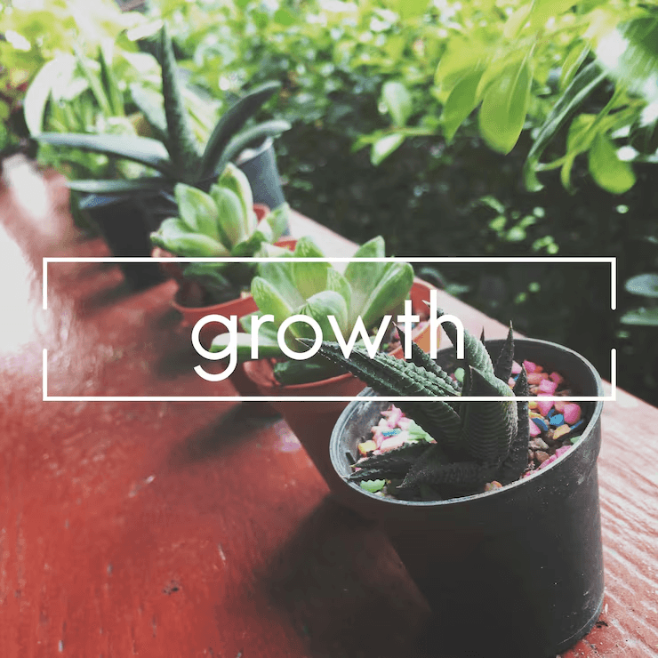 Best Another Word For Personal Growth: Boost Your Journey image 3