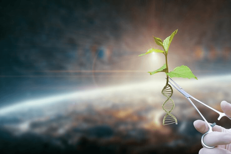 Why Biotechnology Life Matters For Personal Growth image 36