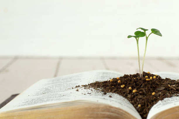 How to Use Personality Development Books for Real Results image 13