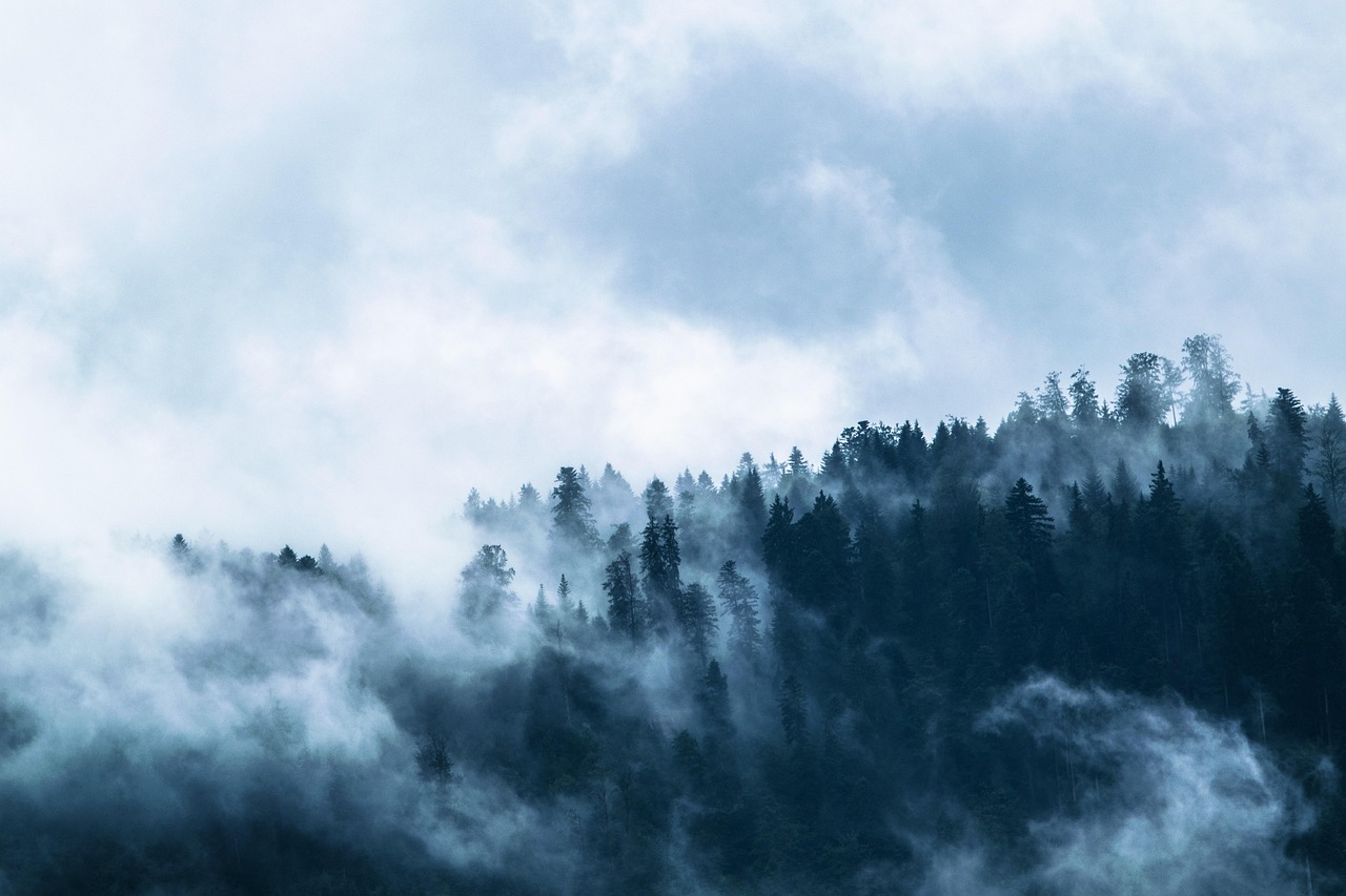 The Best Paranormal Love Story Books to Read Tonight Comparing themes found in classic and modern paranormal love story books for better understanding